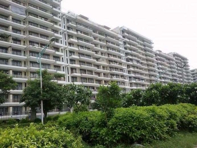 3 BHK Apartment 270 Sq. Yards for Sale in