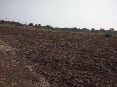 Agricultural Land 3 Bigha for Sale in Haripur, Gir Somnath