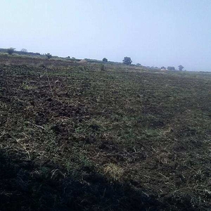 Agricultural Land 3 Hectares for Sale in Hadgaon, Nanded