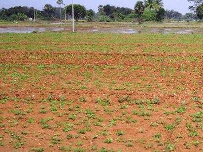 Agricultural Land 30 Cent for Sale in Kunnamkulam, Thrissur