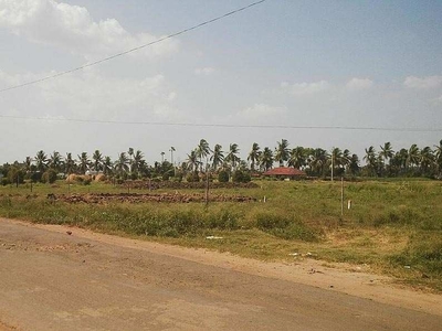 Residential Plot 300 Sq. Yards for Sale in Tanuku, West Godavari