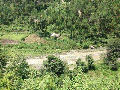 Commercial Land 3000 Sq. Meter for Sale in Sadhupul, Solan