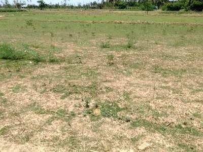 Agricultural Land 3200 Sq.ft. for Sale in Thirupalai, Madurai