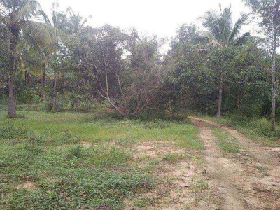 Agricultural Land 3267 Sq.ft. for Sale in Tavarakere, Bangalore