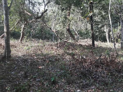 3400 Sq. Meter Residential Plot for Sale in Siolim, Bardez, Goa