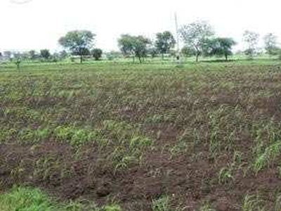 Agricultural Land 3484830 Sq.ft. for Sale in