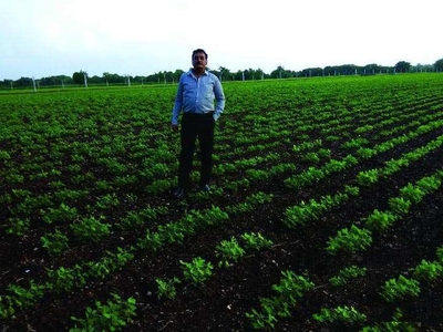 Agricultural Land 35 Guntha for Sale in