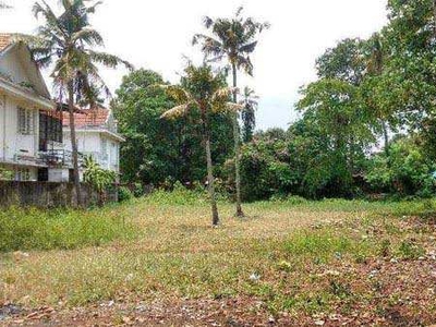 Residential Plot 36 Cent for Sale in Irumpanam, Ernakulam
