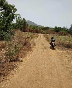 Agricultural Land 4 Acre for Sale in Alibag, Raigad