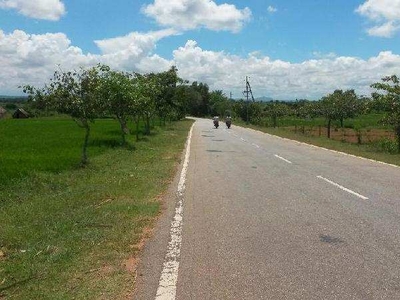Agricultural Land 4 Acre for Sale in Bugganipalle, Kurnool