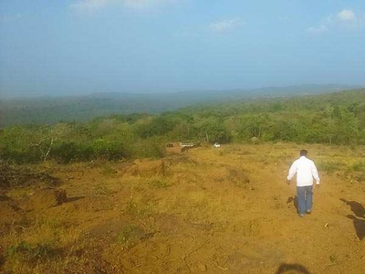 Agricultural Land 4 Acre for Sale in Dapoli Camp, Ratnagiri