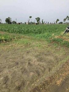 Agricultural Land 4 Acre for Sale in Tarn Taran Road, Amritsar
