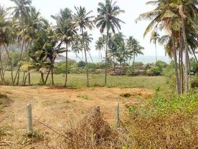 Agricultural Land 4 Acre for Sale in Vengurla, Sindhudurg
