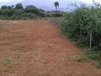 Agricultural Land 40 Acre for Sale in Vijay Nagar, Jabalpur
