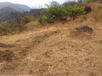 Agricultural Land 40 Acre for Sale in Virar West, Mumbai