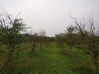 Agricultural Land 40 Ares for Sale in Abbigeri, Koppal