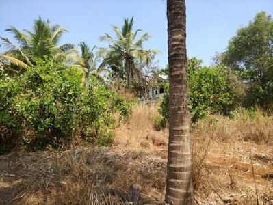 Commercial Land 40 Cent for Sale in Thondayad Bypass, Kozhikode