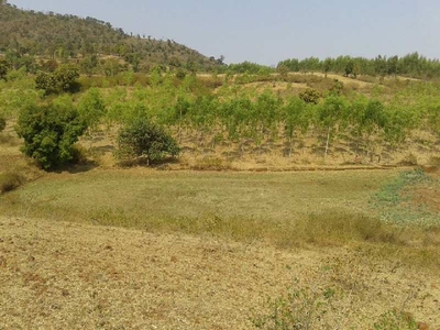 Agricultural Land 400 Acre for Sale in Pushprajgarh, Anuppur