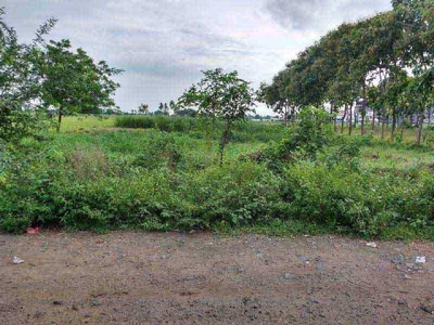 Residential Plot 4017 Sq. Yards for Sale in Mangalagiri, Vijayawada