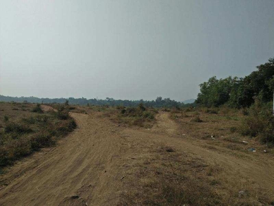 Agricultural Land 42 Acre for Sale in