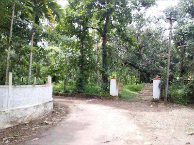 Residential Plot 45 Cent for Sale in Irinjalakuda, Thrissur