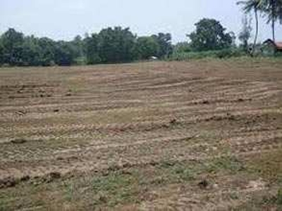 Residential Plot 4875 Sq.ft. for Sale in Sector 21 Panchkula