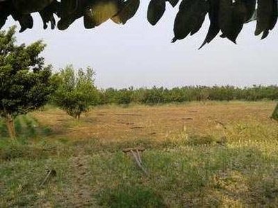 Agricultural Land 5 Acre for Sale in