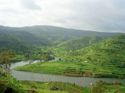 Agricultural Land 5 Acre for Sale in Morba, Raigad