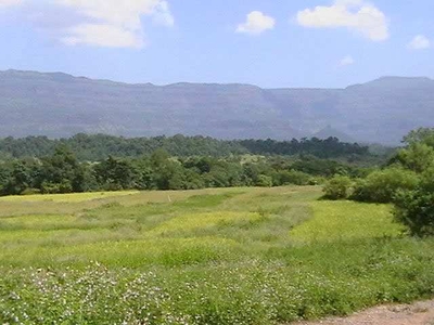 Residential Plot 5 Acre for Sale in