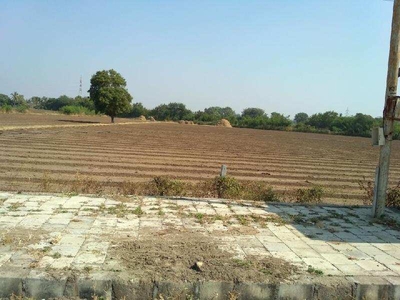 Agricultural Land 5 Bigha for Sale in Keshod, Junagadh
