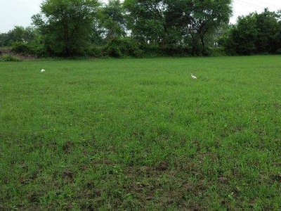 Agricultural Land 5 Bigha for Sale in Petlad, Anand
