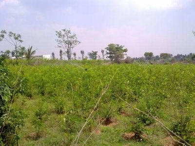 Agricultural Land 5 Guntha for Sale in