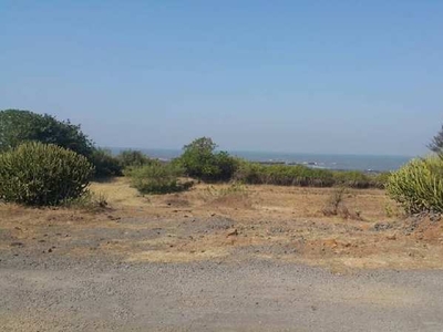 Agricultural Land 50 Ares for Sale in Alibag, Raigad