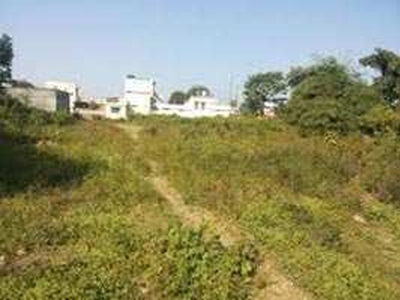 Agricultural Land 50 Bigha for Sale in