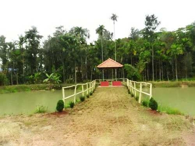 Agricultural Land 5000 Sq.ft. for Sale in Sakleshpur, Hassan
