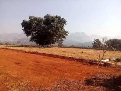 Agricultural Land 50000 Sq.ft. for Sale in Mhaisal, Sangli