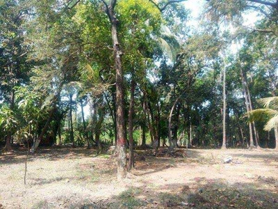 Agricultural Land 5100 Sq.ft. for Sale in