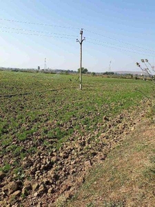 Agricultural Land 540 Acre for Sale in Damoh Damoh