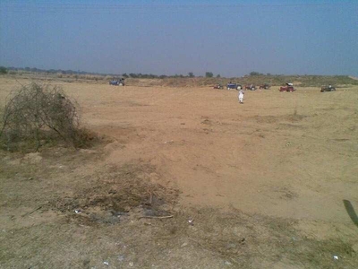 Agricultural Land 6 Acre for Rent in Koratagere, Tumkur