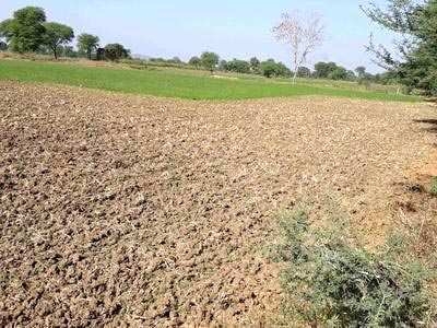 Agricultural Land 6 Acre for Sale in Jabera, Damoh