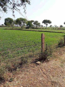 Agricultural Land 6 Acre for Sale in Jabera, Damoh