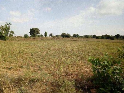Agricultural Land 6 Acre for Sale in Shoolagiri, Krishnagiri