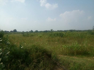 Agricultural Land 6 Bigha for Sale in Mandvi, Vadodara