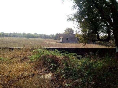Commercial Land 6 Bigha for Sale in