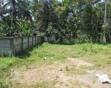 Residential Plot 6 Cent for Sale in Nadakkavu, Kozhikode