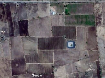 Agricultural Land 60 Acre for Sale in Akkalkot, Solapur