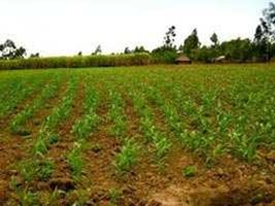 Agricultural Land 600 Acre for Sale in