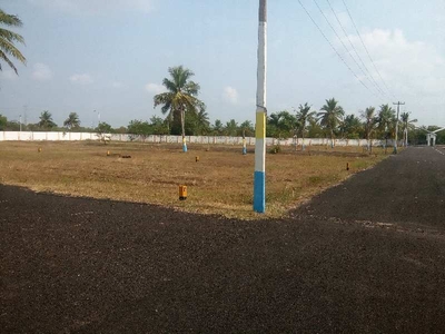 Vijaya Shanthi Lotus Pond