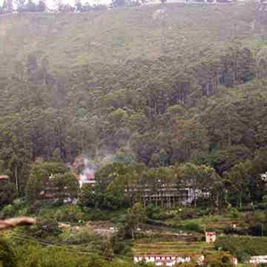 Residential Plot 7 Cent for Sale in Shenbaganur, Kodaikanal