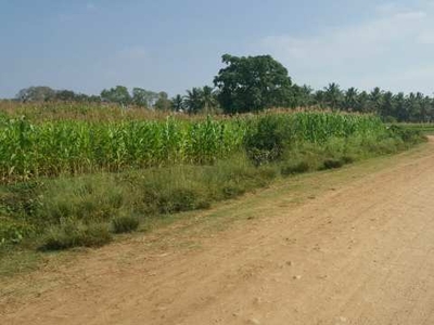 Agricultural Land 70 Acre for Sale in
